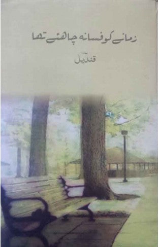 Zamany Ko Fasana Chahiye Tha